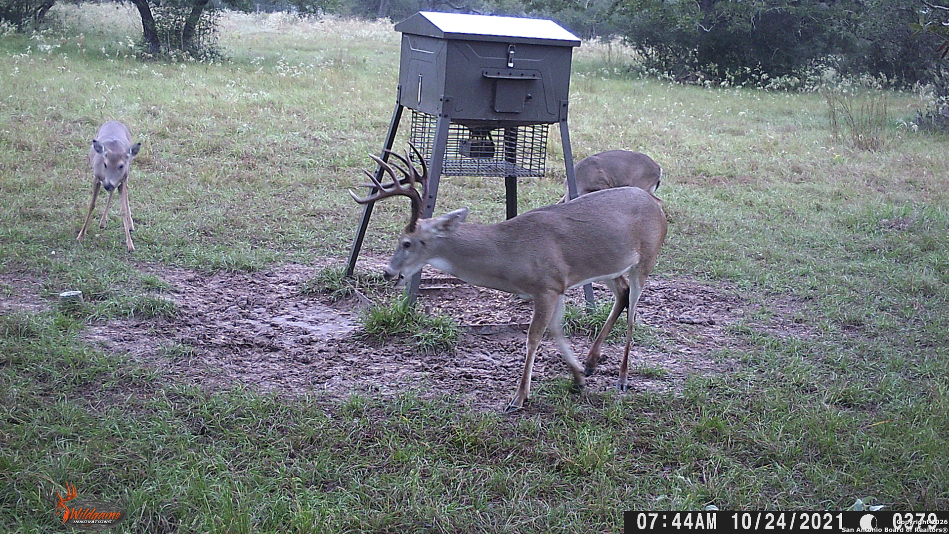 3745 Cattle Guard (TBD) Cuero TX 77954