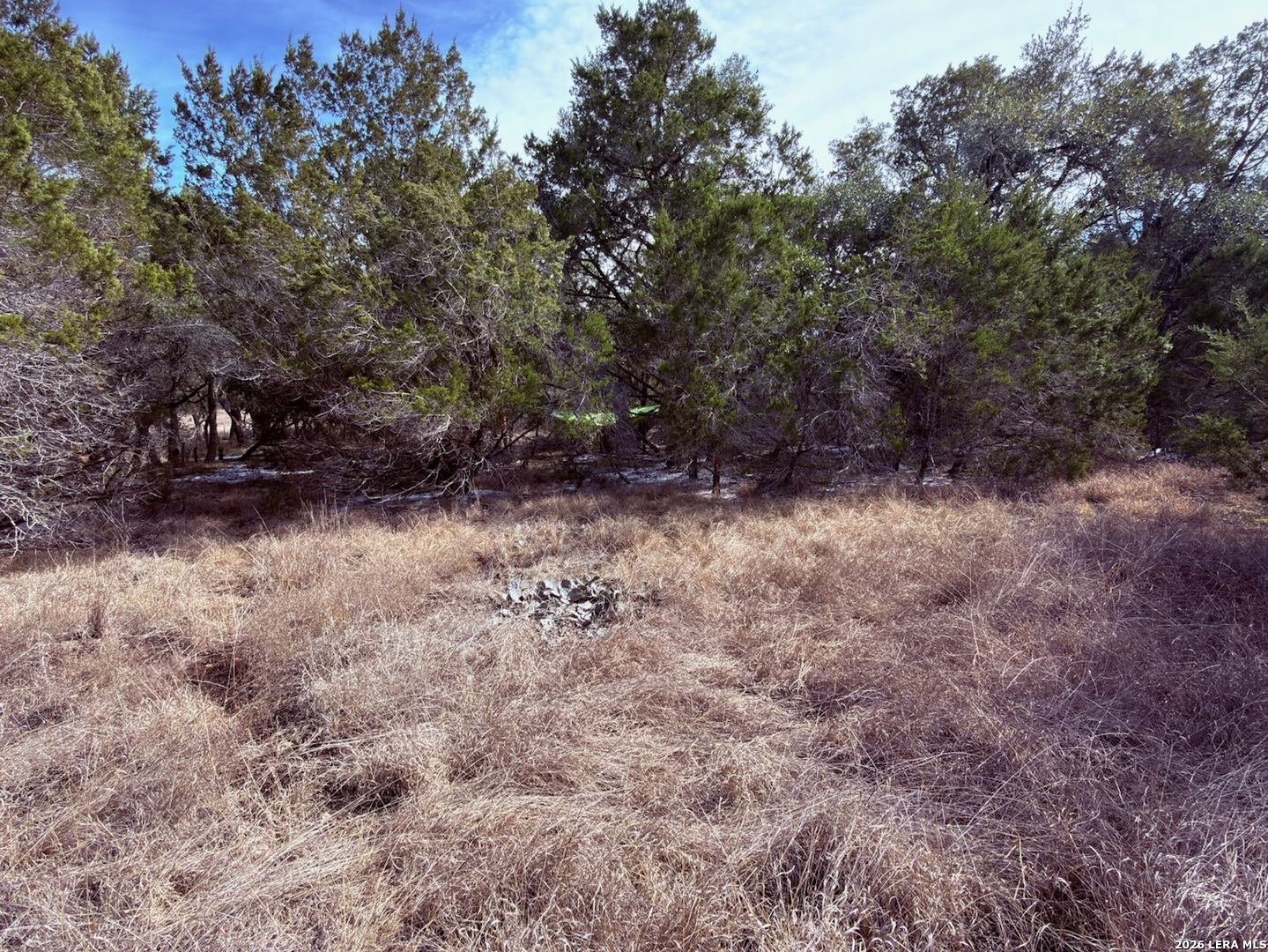 311 Serenity Pass Spring Branch TX 78070