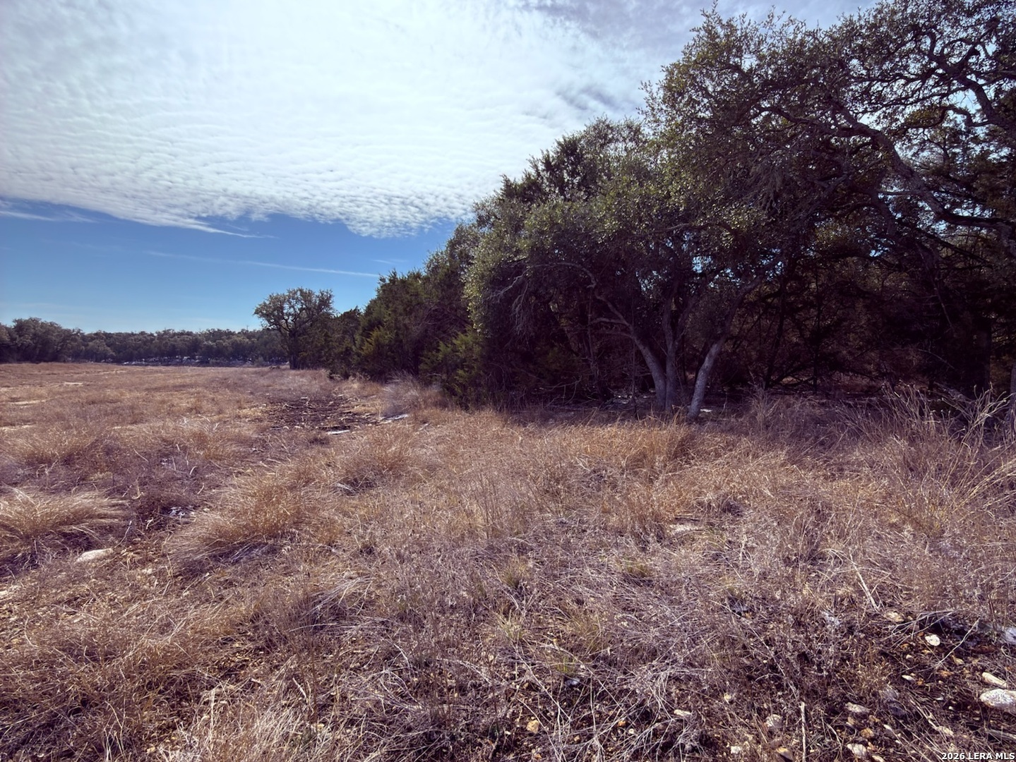 311 Serenity Pass Spring Branch TX 78070