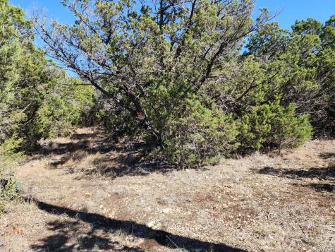1951 Camino Alto San Marcos TX 78666
