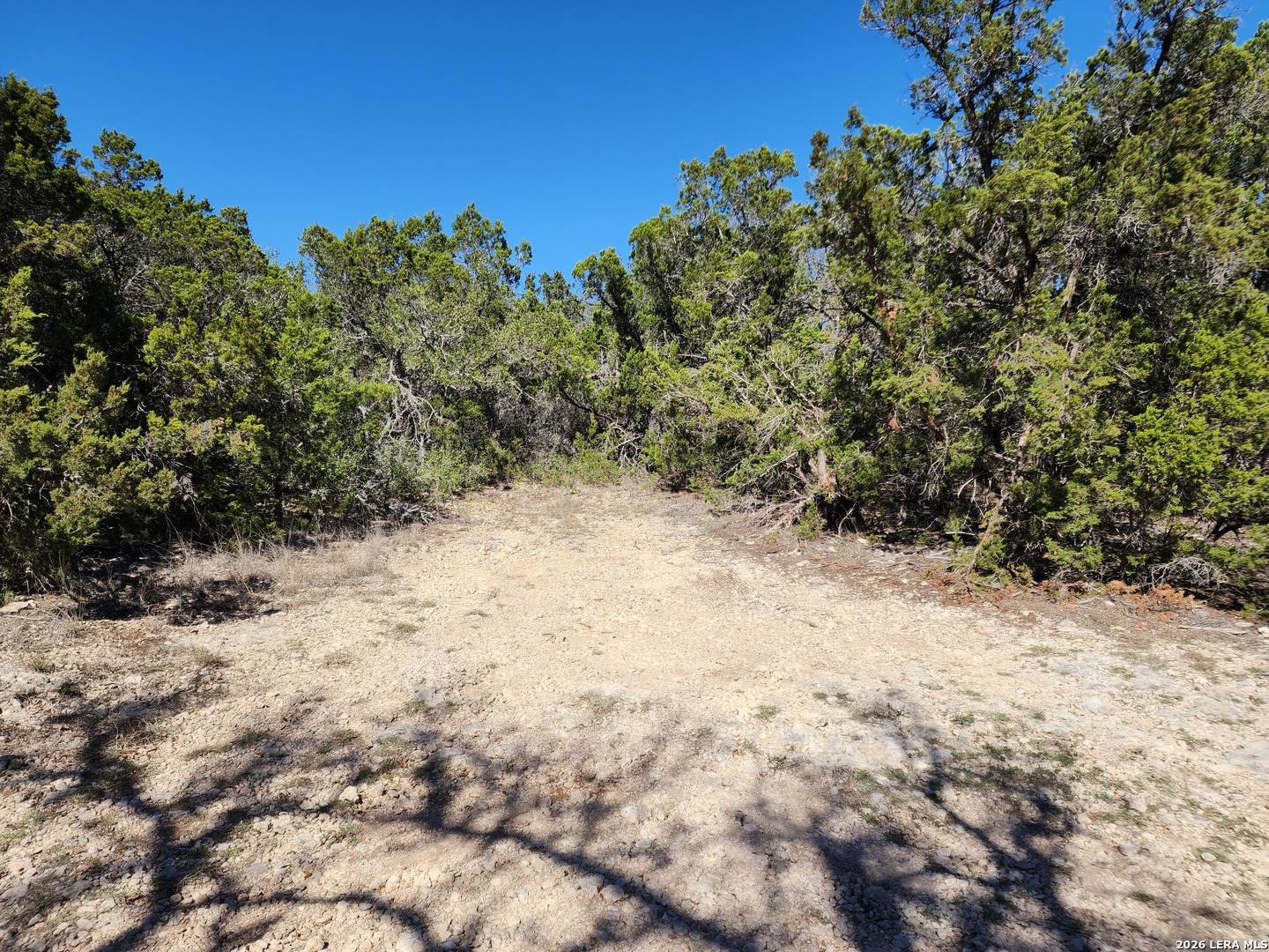 1951 Camino Alto San Marcos TX 78666