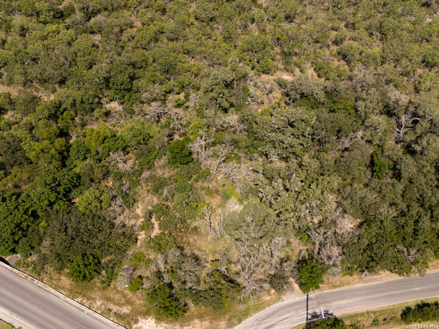 16819 S Evans North Von Ormy TX 78073