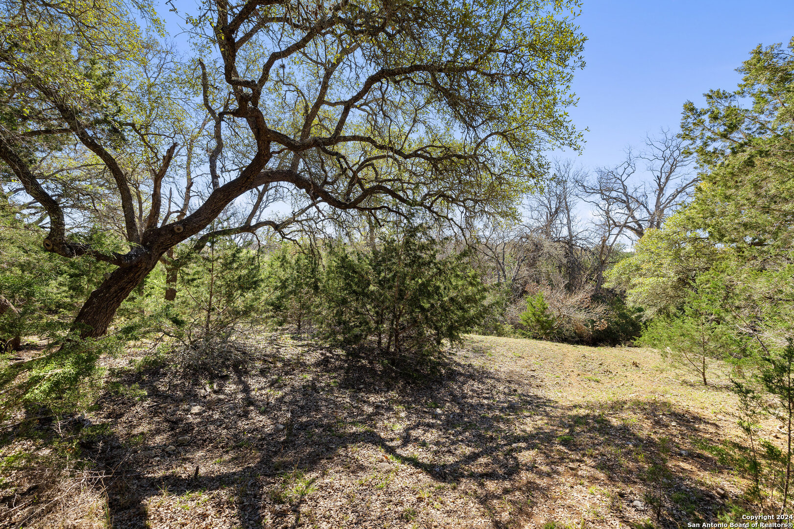 111 La Luna Drive Blanco TX 78606