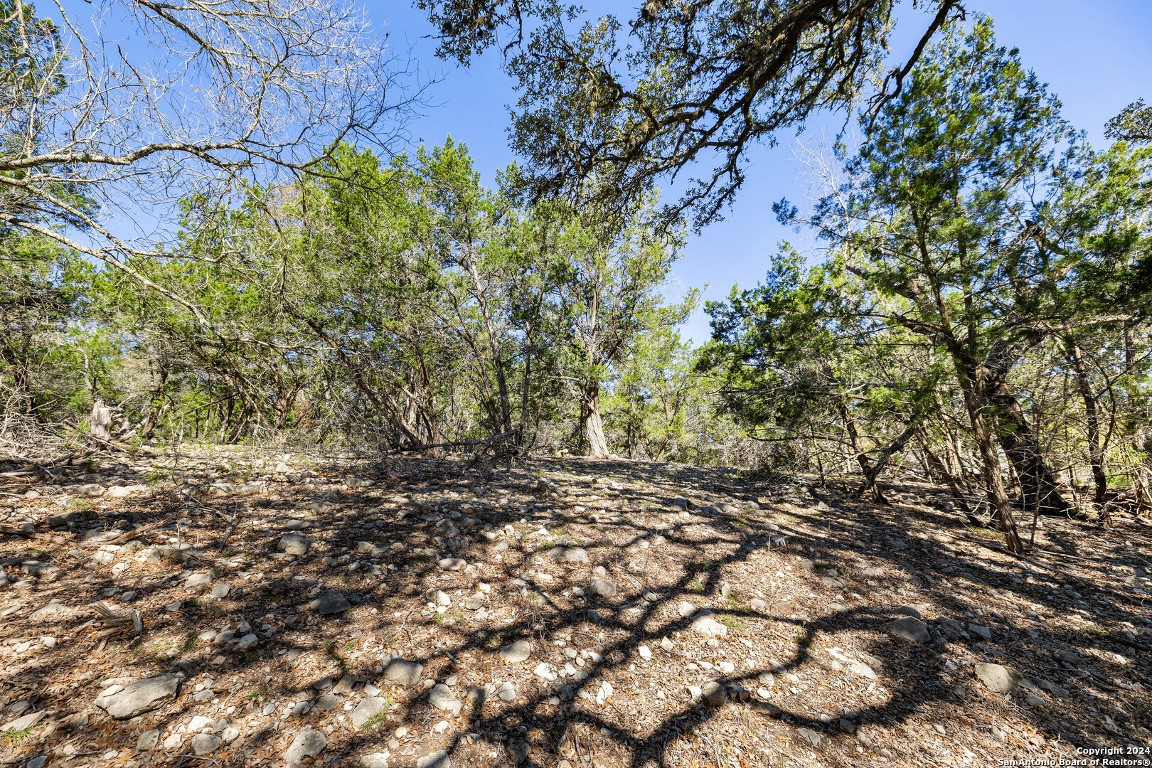 111 La Luna Drive Blanco TX 78606