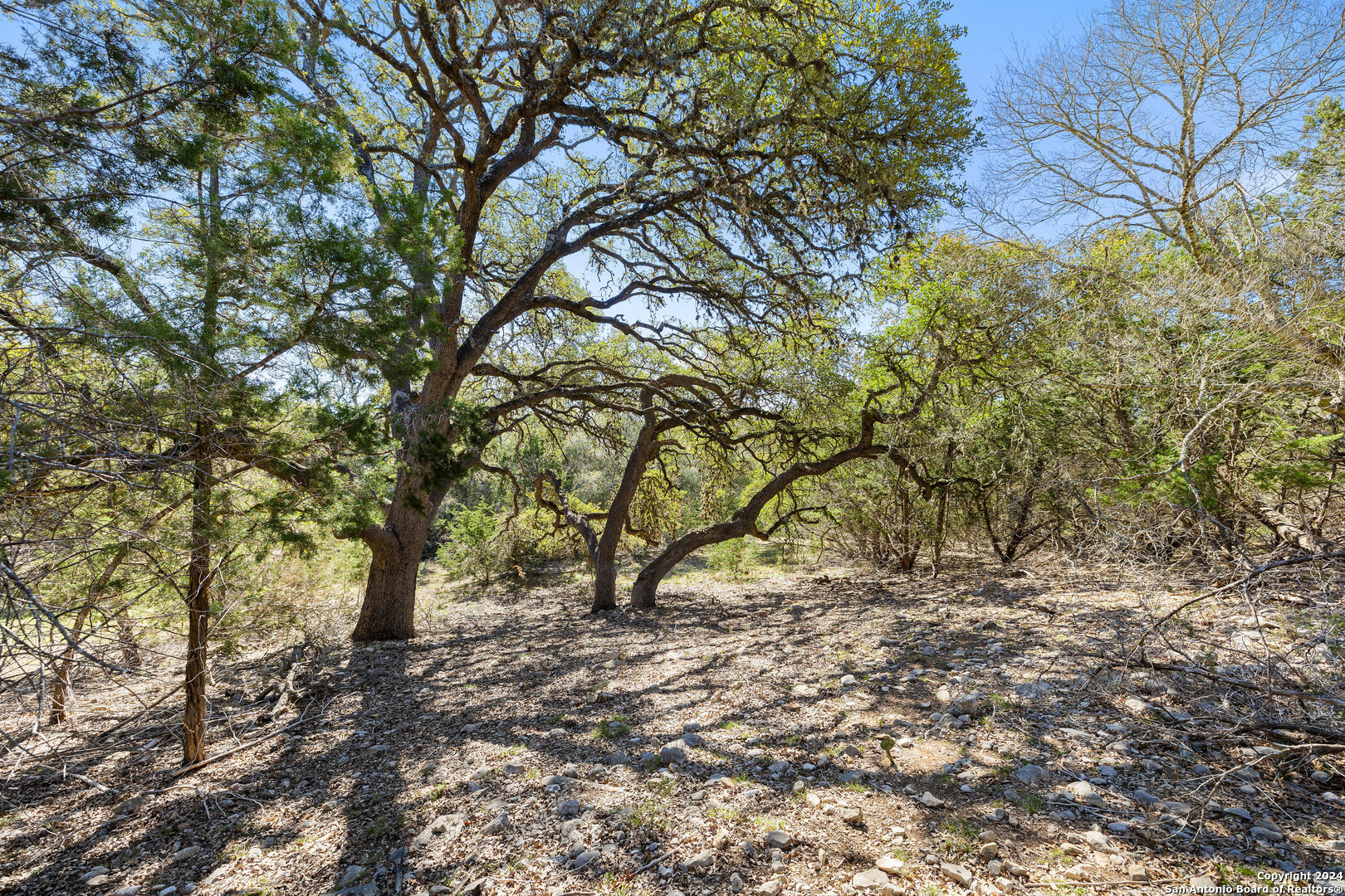 111 La Luna Drive Blanco TX 78606