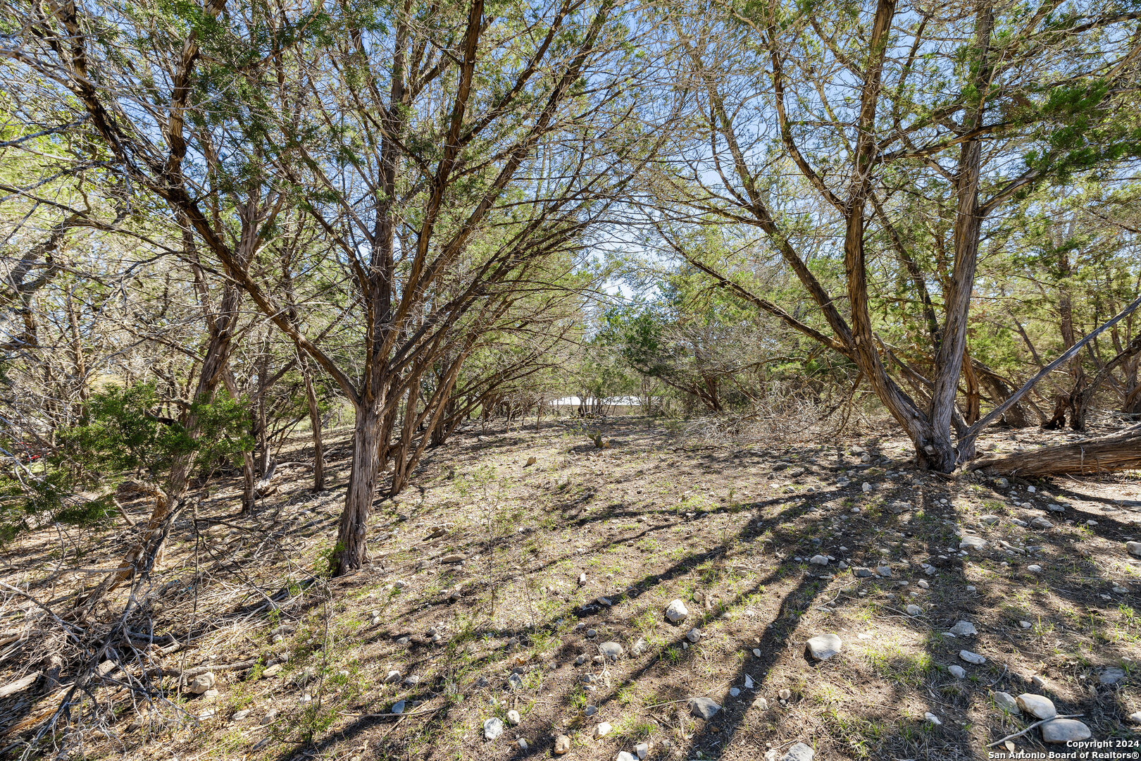 111 La Luna Drive Blanco TX 78606