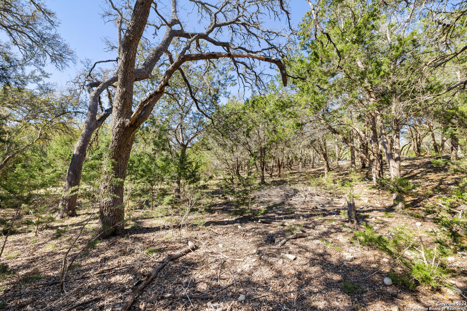 111 La Luna Drive Blanco TX 78606