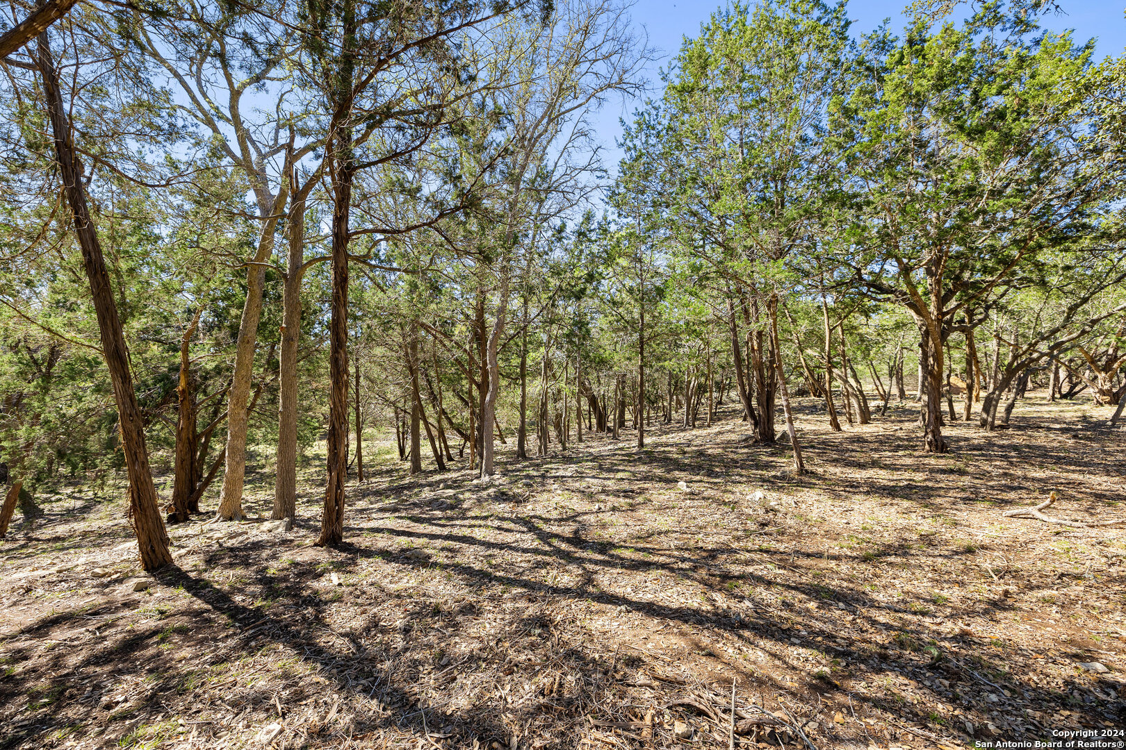 111 La Luna Drive Blanco TX 78606