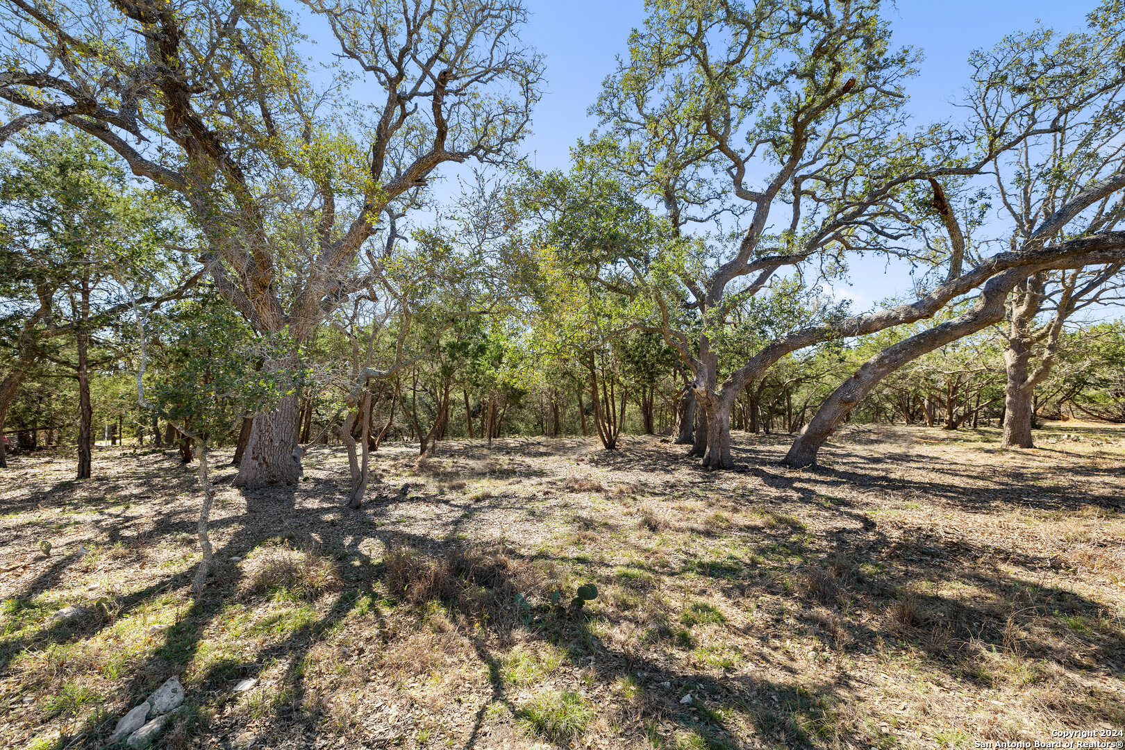 111 La Luna Drive Blanco TX 78606