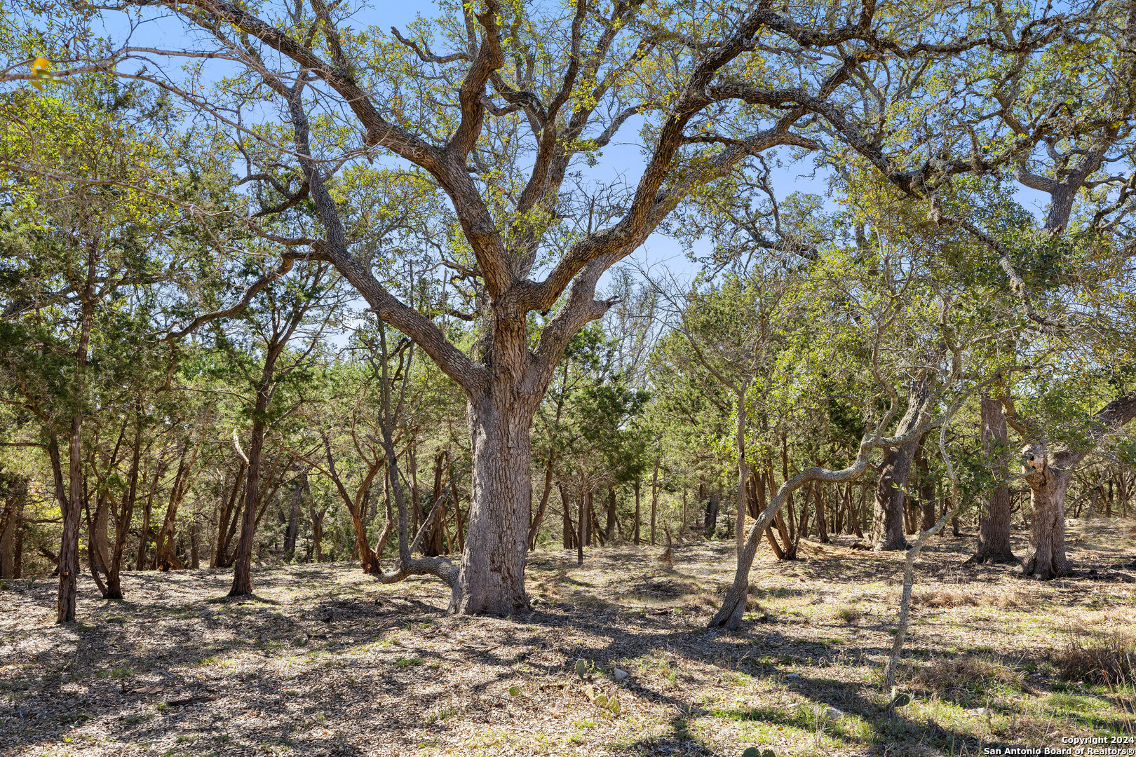 111 La Luna Drive Blanco TX 78606