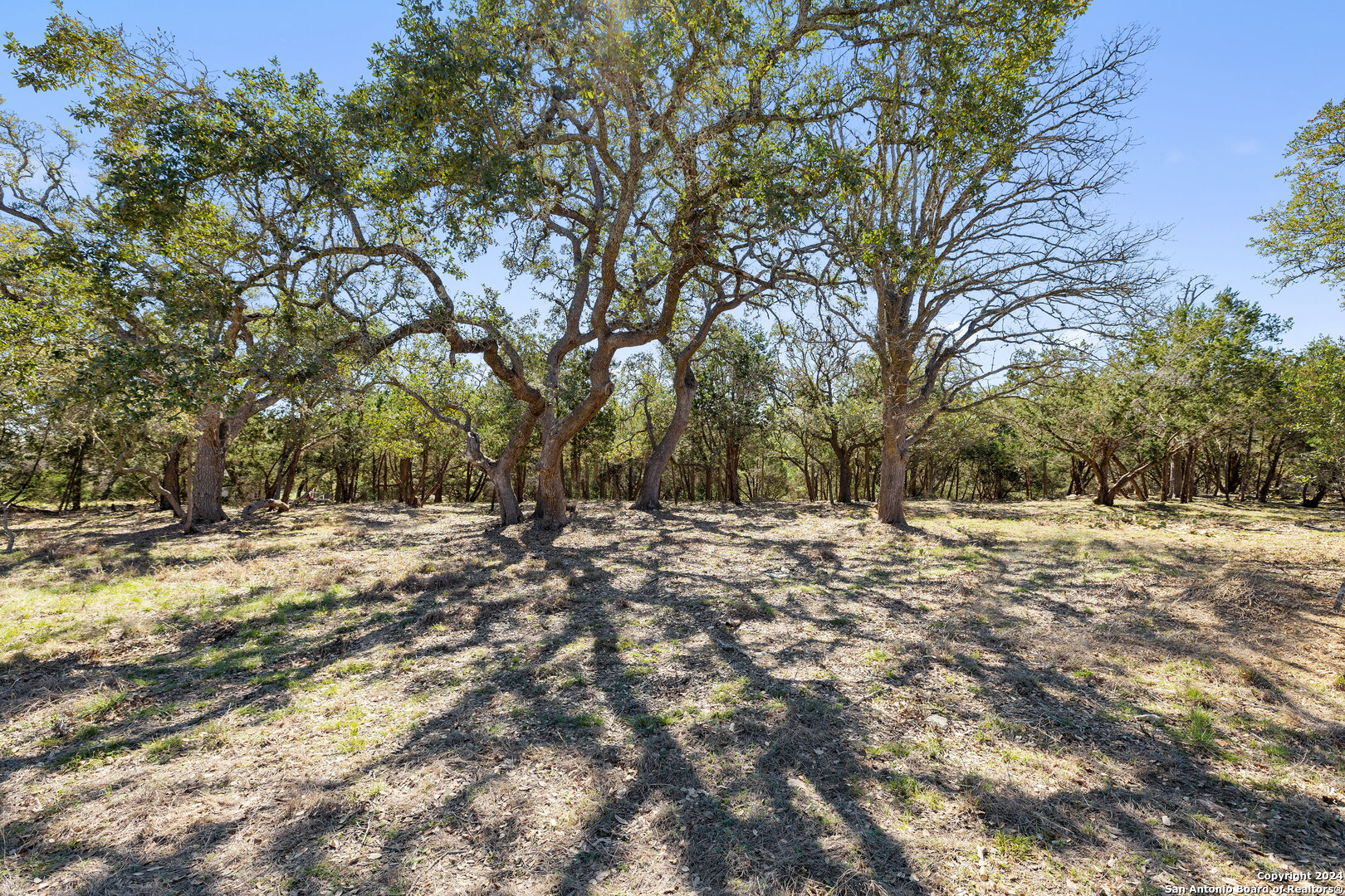 111 La Luna Drive Blanco TX 78606