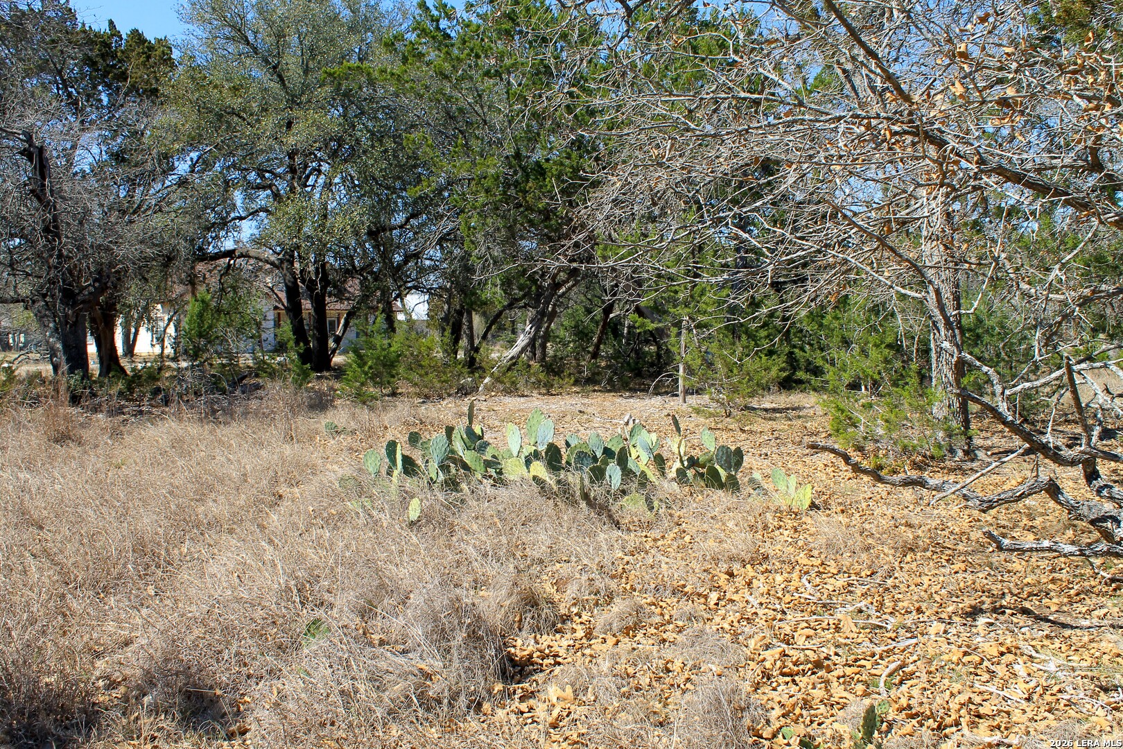 0 Park Bandera TX 78003
