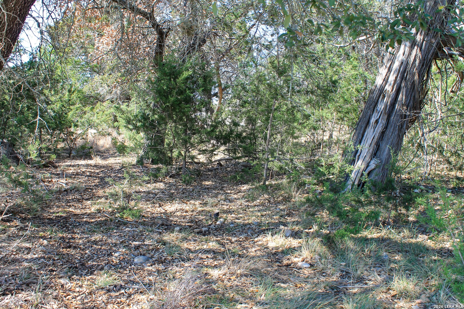 0 Park Bandera TX 78003