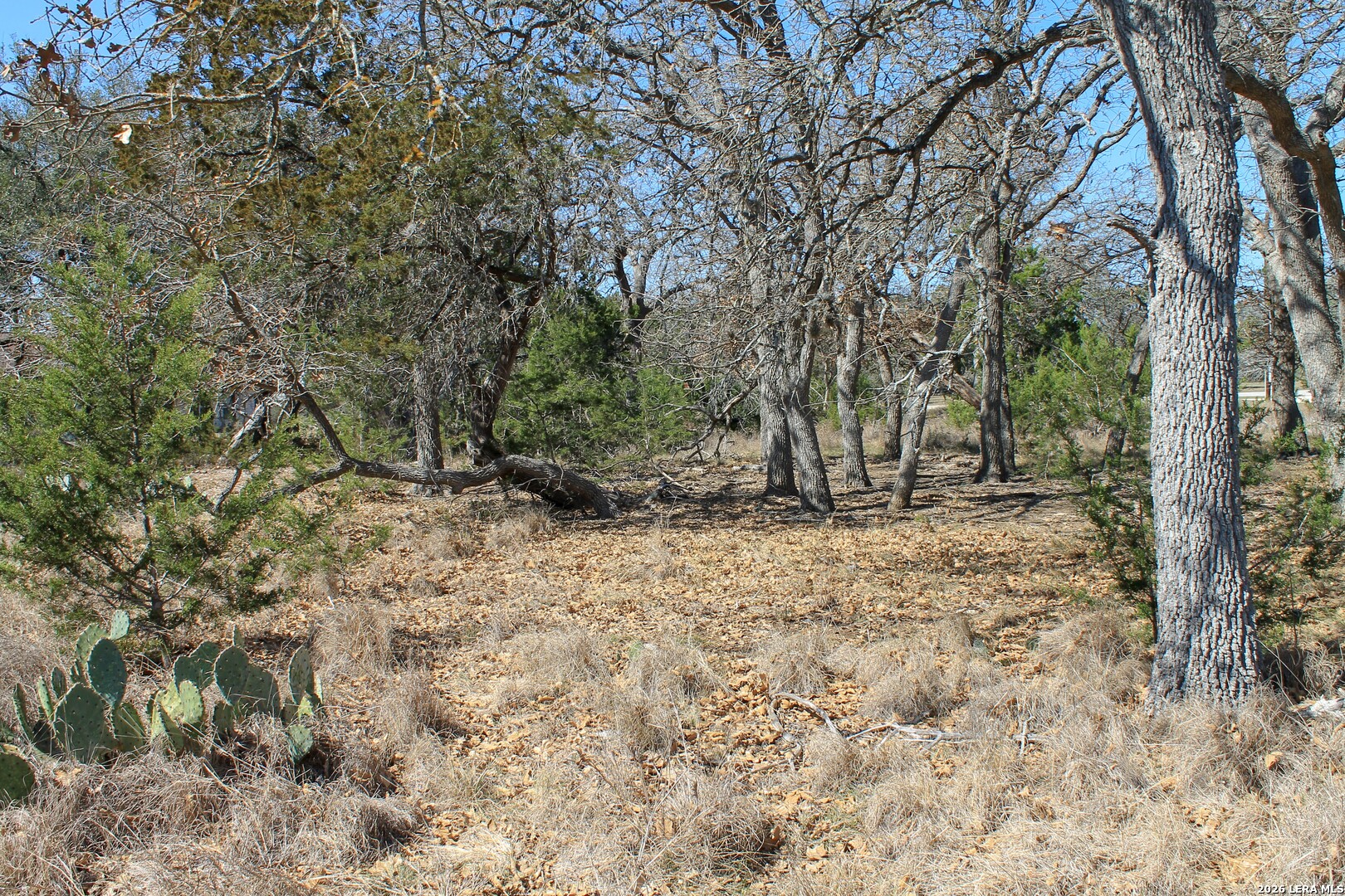 0 Park Bandera TX 78003