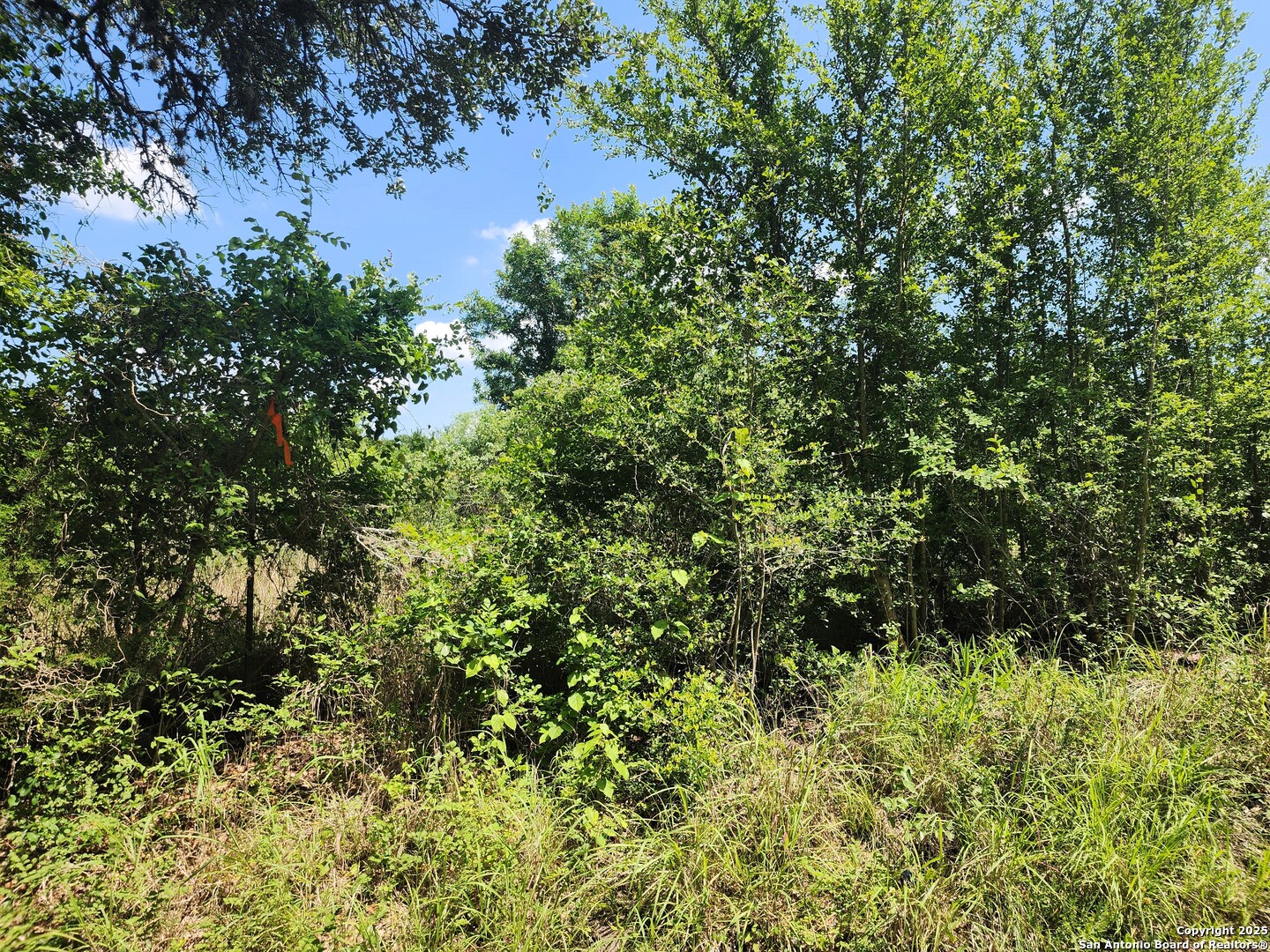 961 Lane Pool Lagrange TX 78945