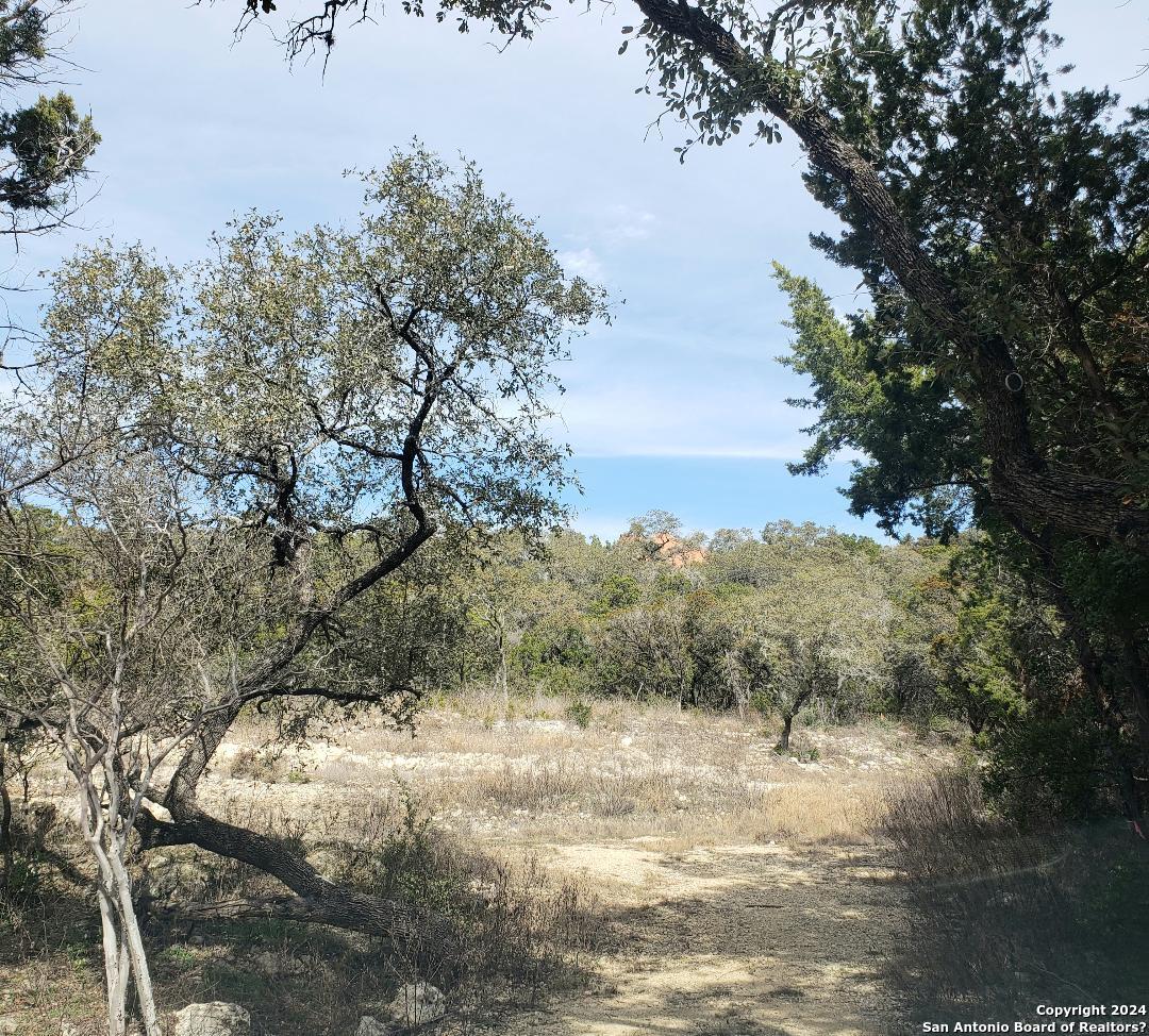 14465 Chinquapin Helotes TX 78023