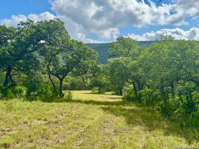 0 John Buchanan Road Leakey TX 78873
