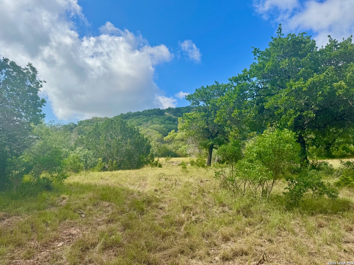 0 John Buchanan Road Leakey TX 78873