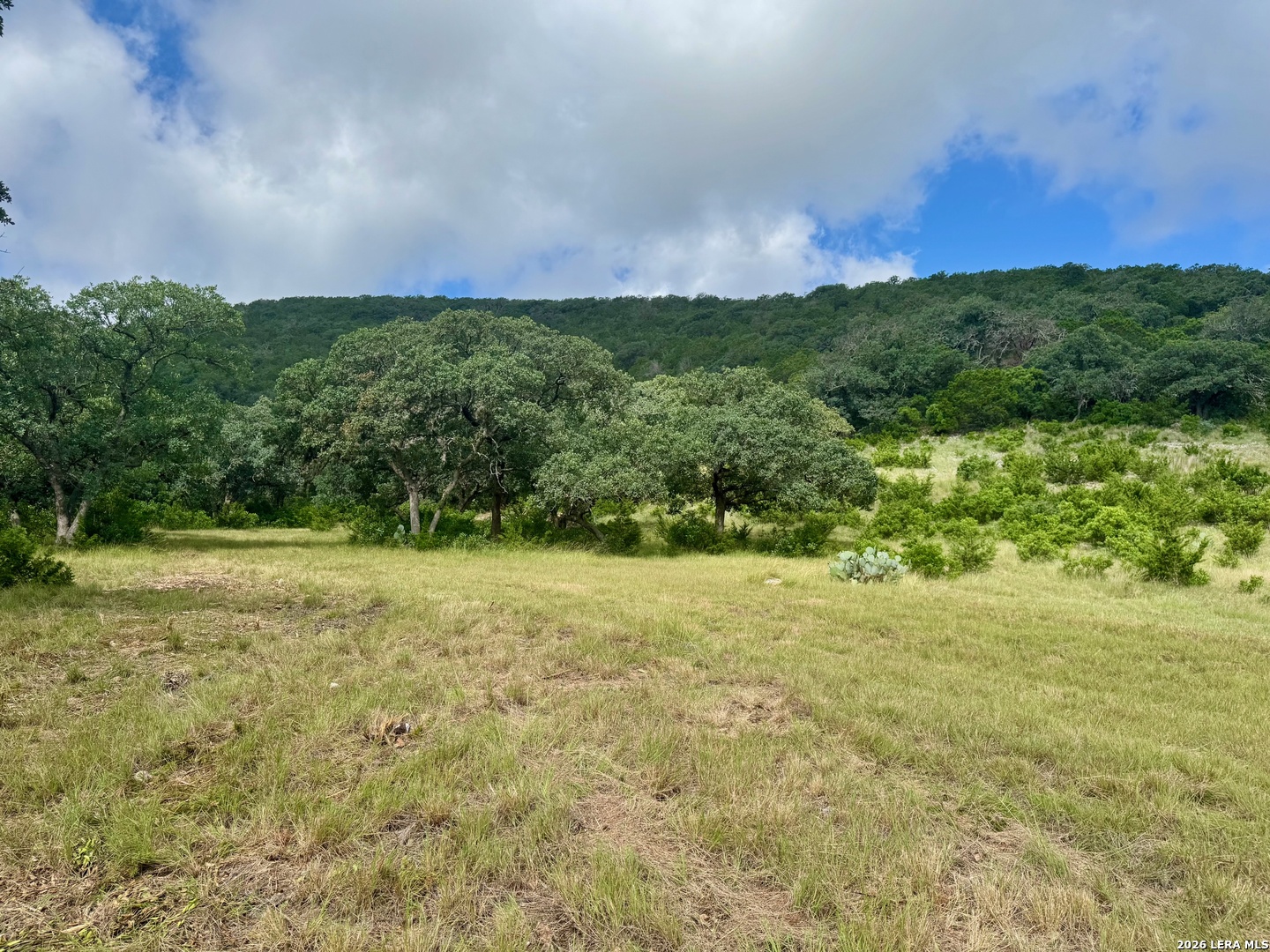 0 John Buchanan Road Leakey TX 78873