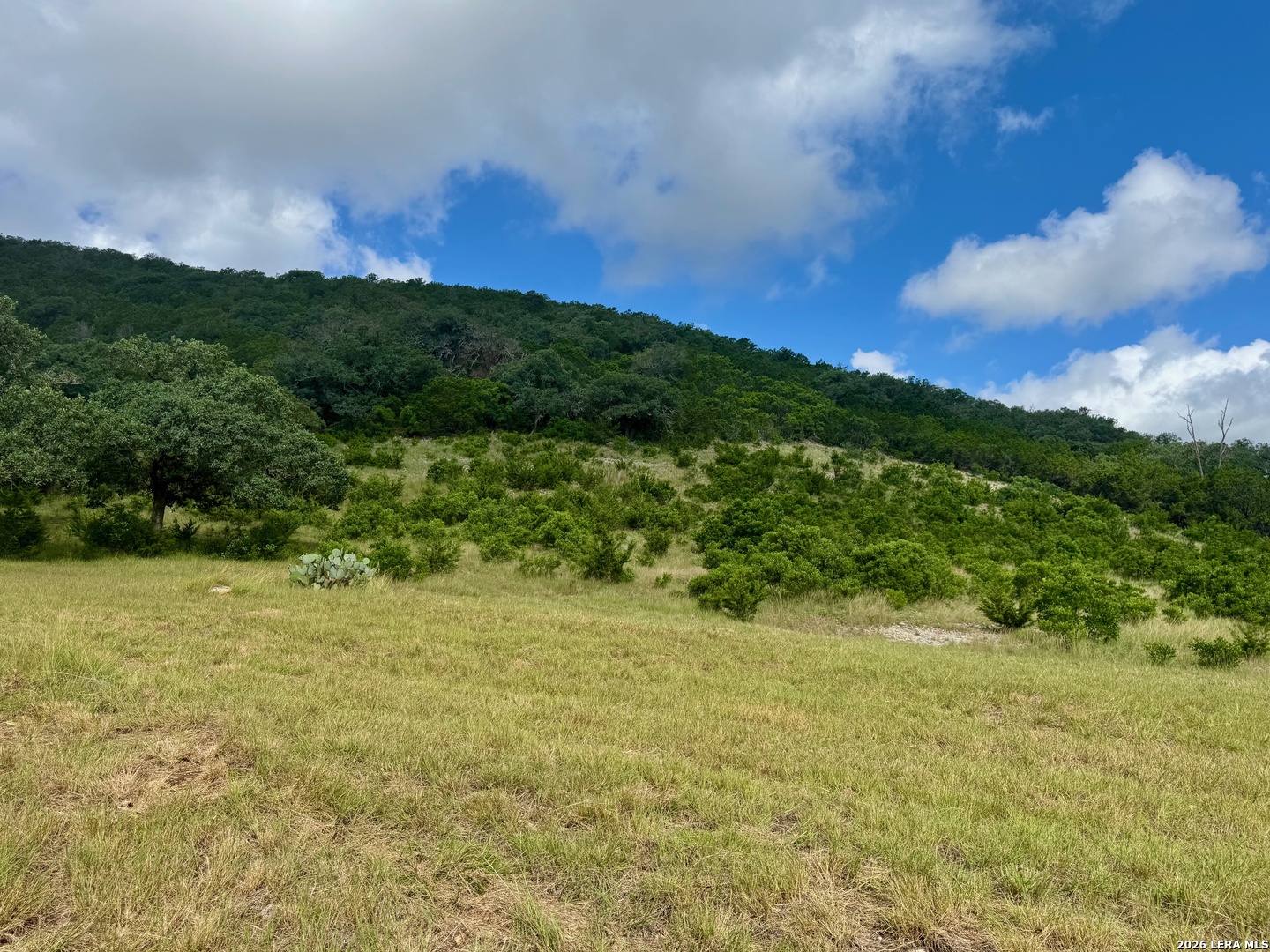 0 John Buchanan Road Leakey TX 78873