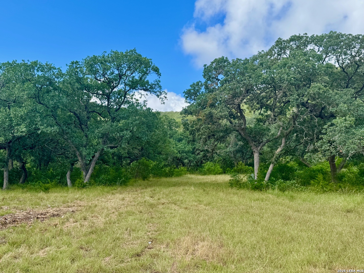 0 John Buchanan Road Leakey TX 78873