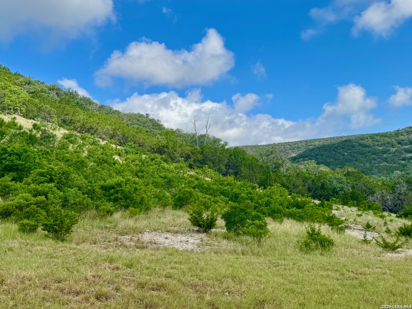 0 John Buchanan Road Leakey TX 78873