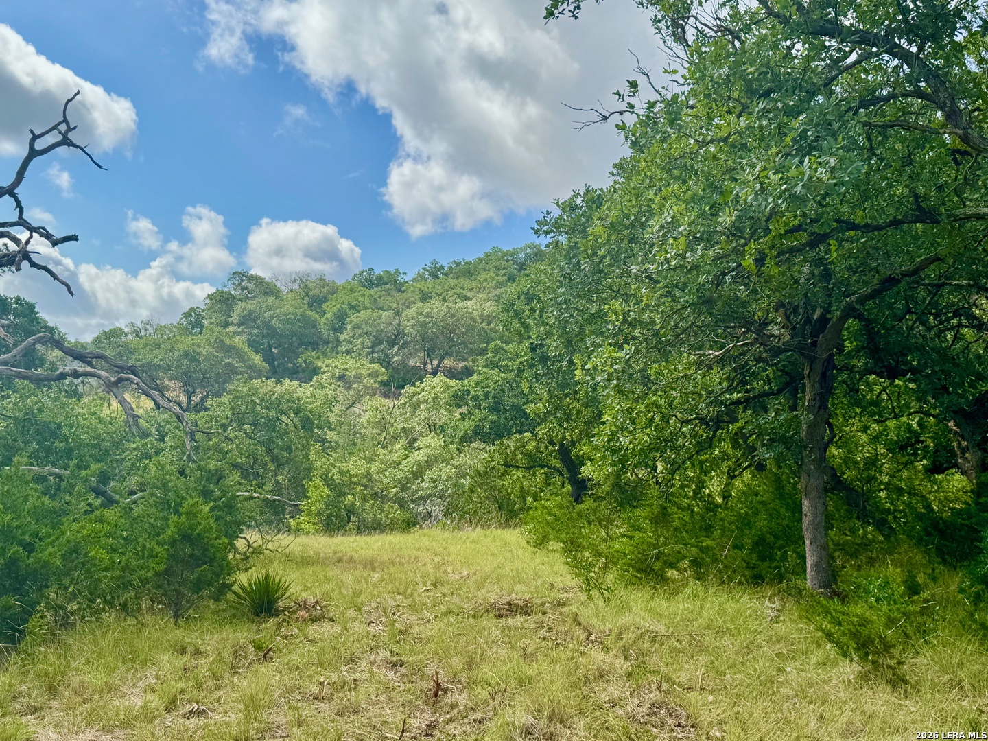 0 John Buchanan Road Leakey TX 78873