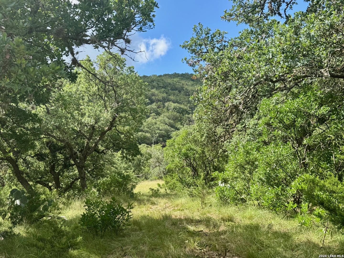 0 John Buchanan Road Leakey TX 78873