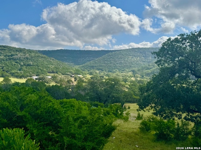 0 John Buchanan Road Leakey TX 78873
