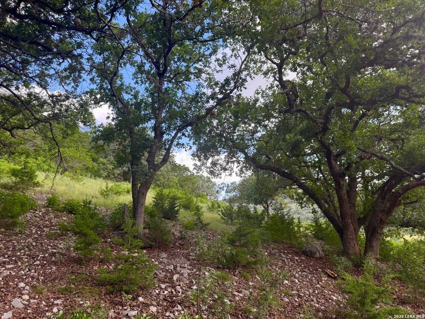 0 John Buchanan Road Leakey TX 78873