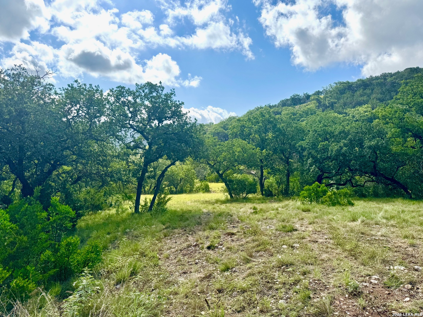 0 John Buchanan Road Leakey TX 78873