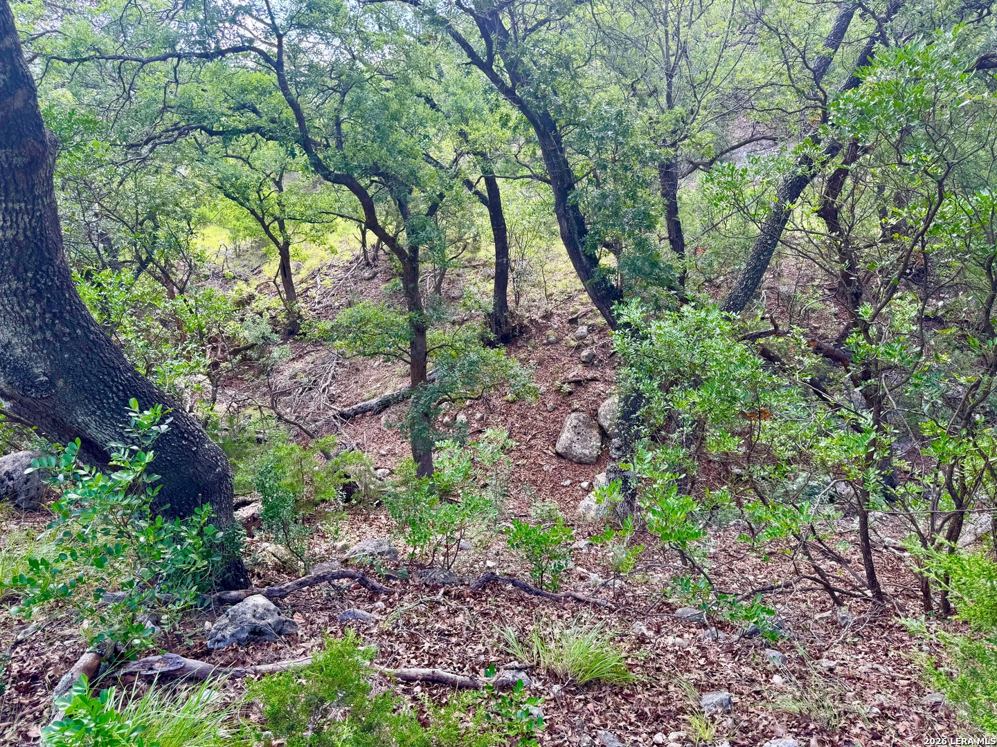 0 John Buchanan Road Leakey TX 78873