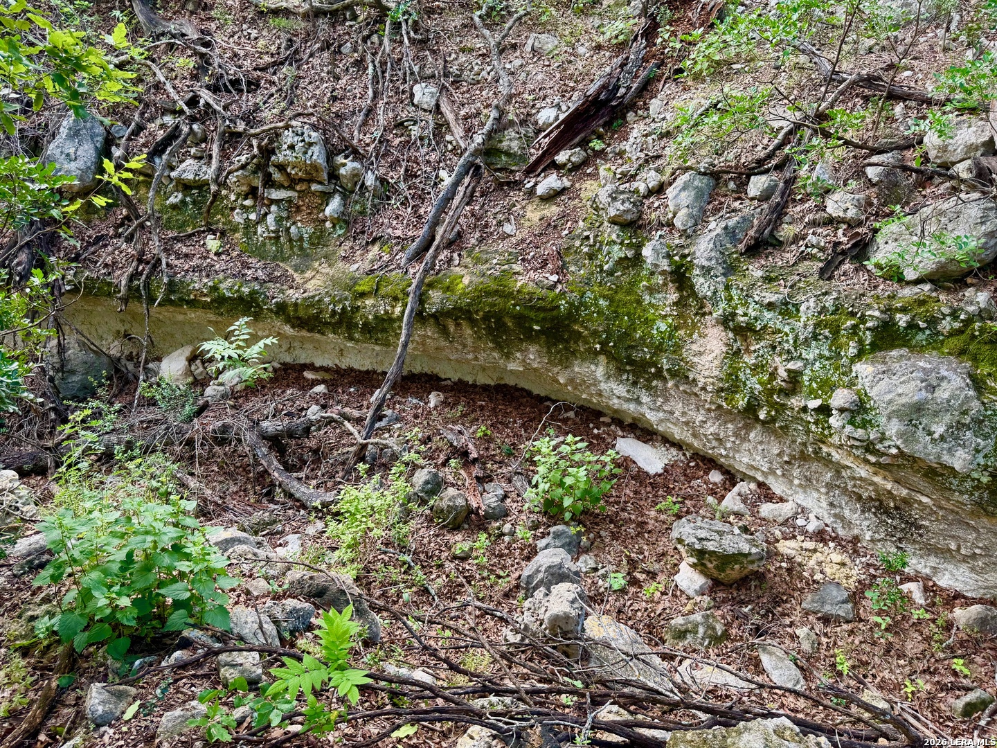 0 John Buchanan Road Leakey TX 78873
