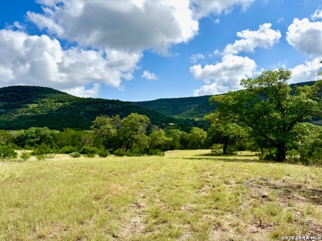 0 John Buchanan Road Leakey TX 78873