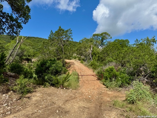 0 John Buchanan Road Leakey TX 78873