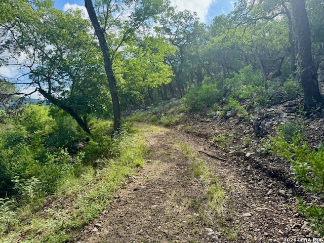 0 John Buchanan Road Leakey TX 78873