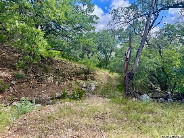 0 John Buchanan Road Leakey TX 78873