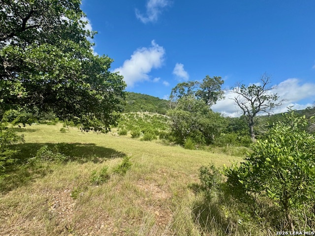 0 John Buchanan Road Leakey TX 78873