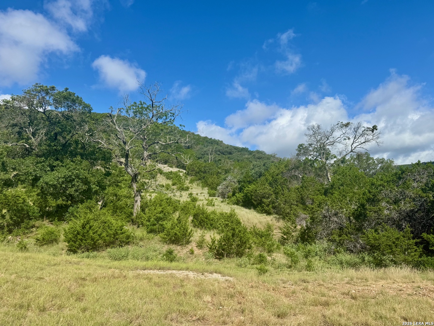 0 John Buchanan Road Leakey TX 78873
