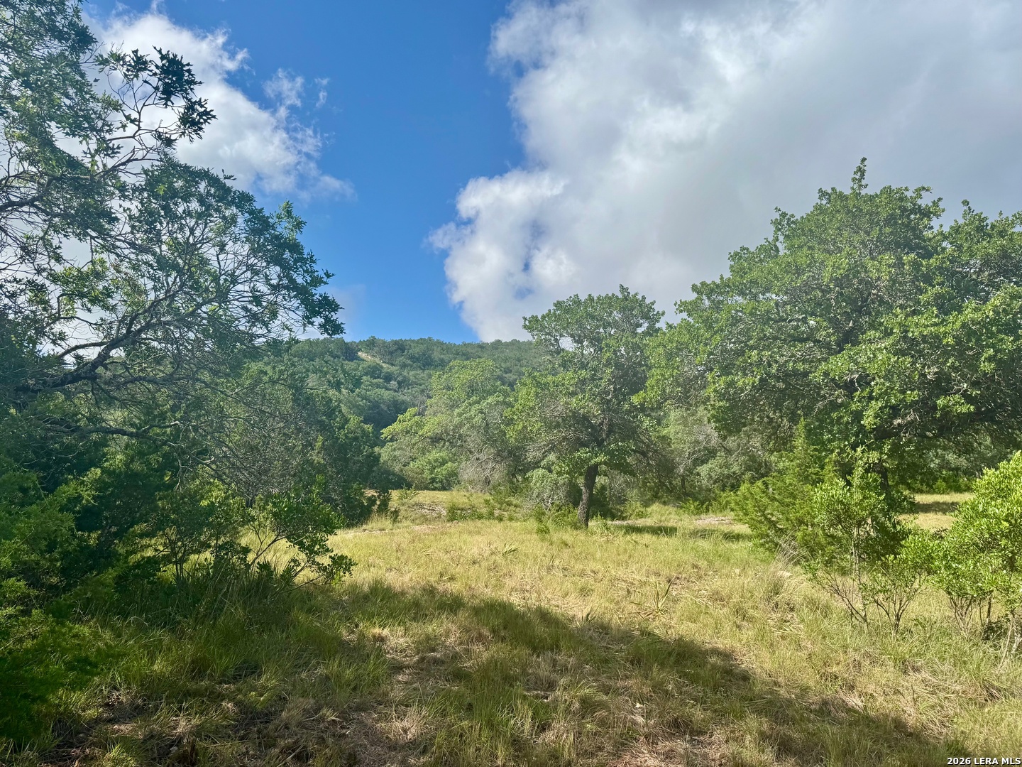 0 John Buchanan Road Leakey TX 78873