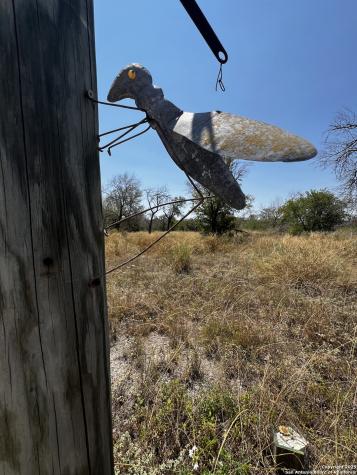 Tbd, Lot 17 Woodland Hills Poteet TX 78065