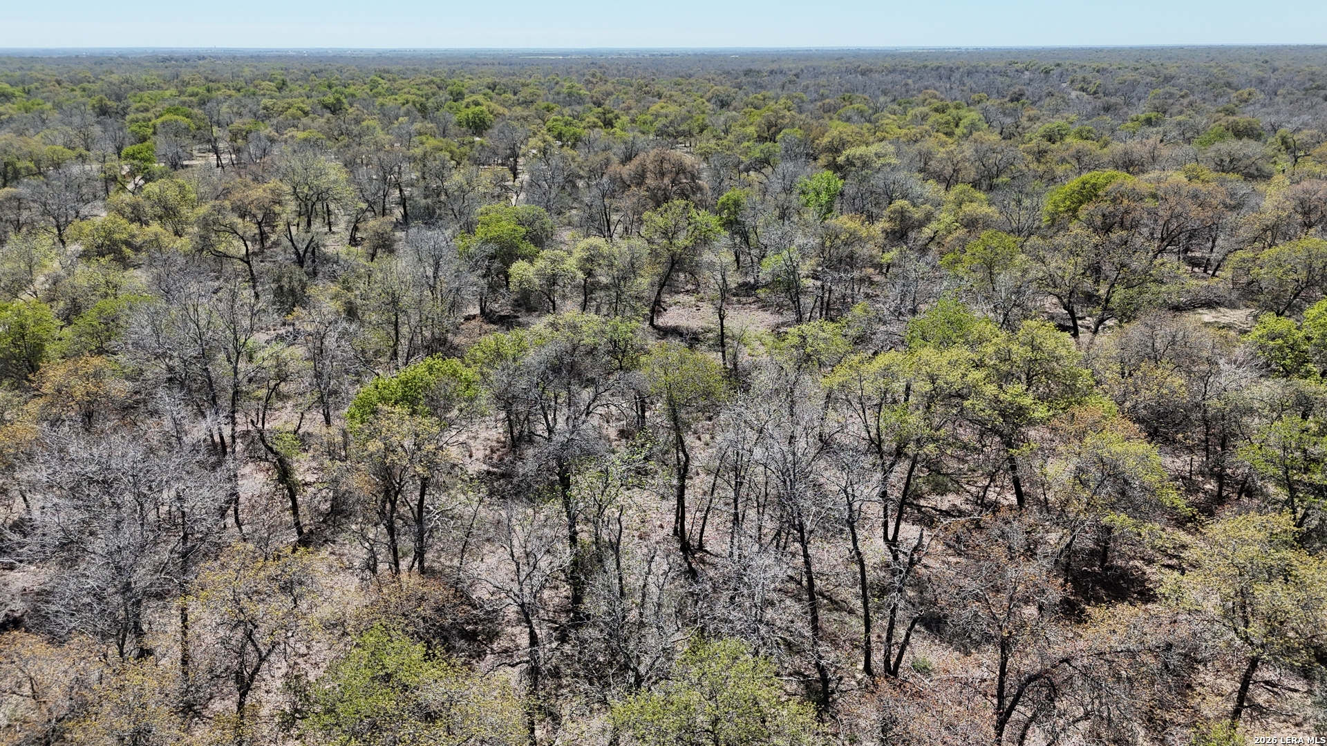 Tbd Trumbo Road Pleasanton TX 78065
