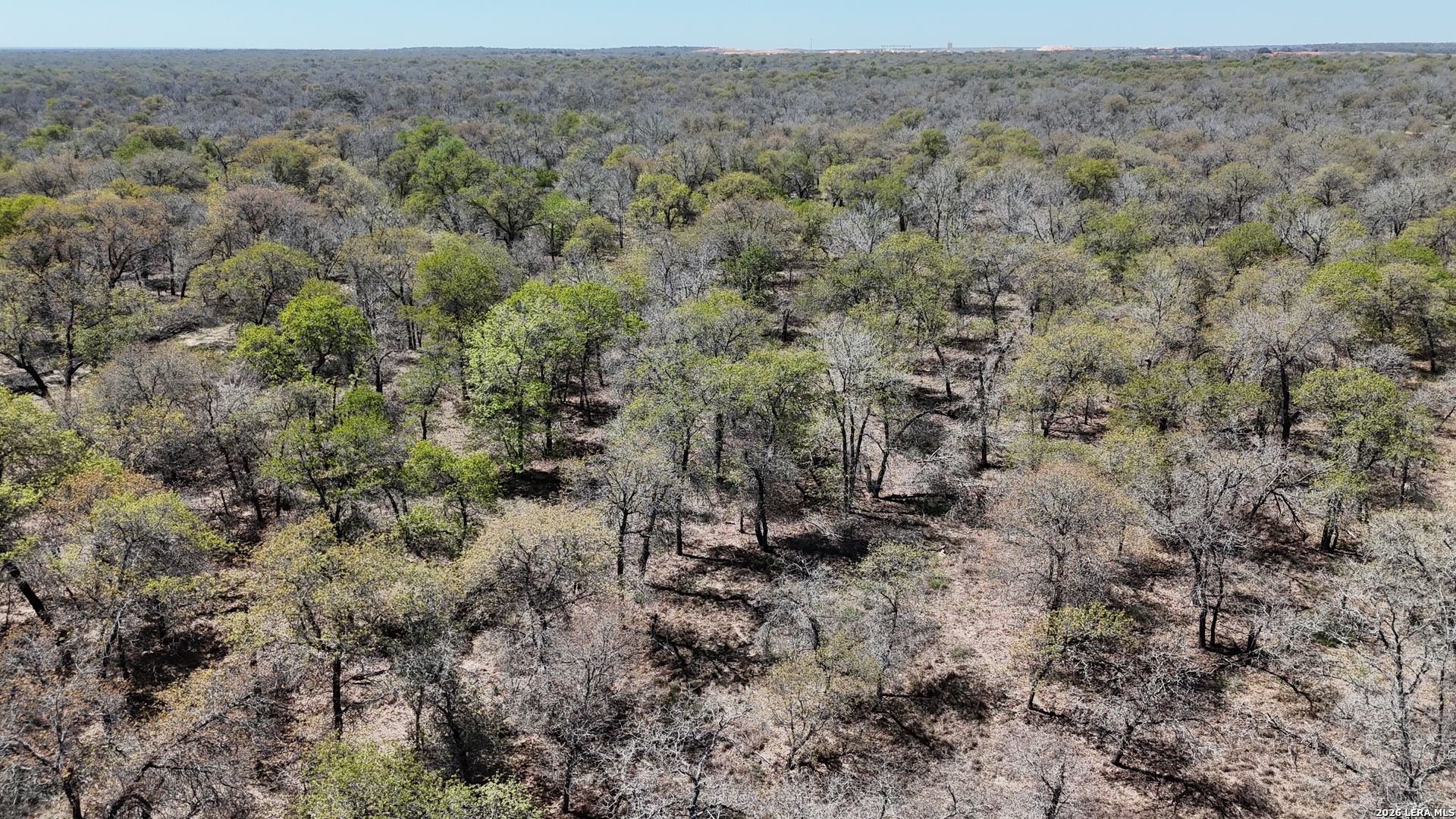 Tbd Trumbo Road Pleasanton TX 78065