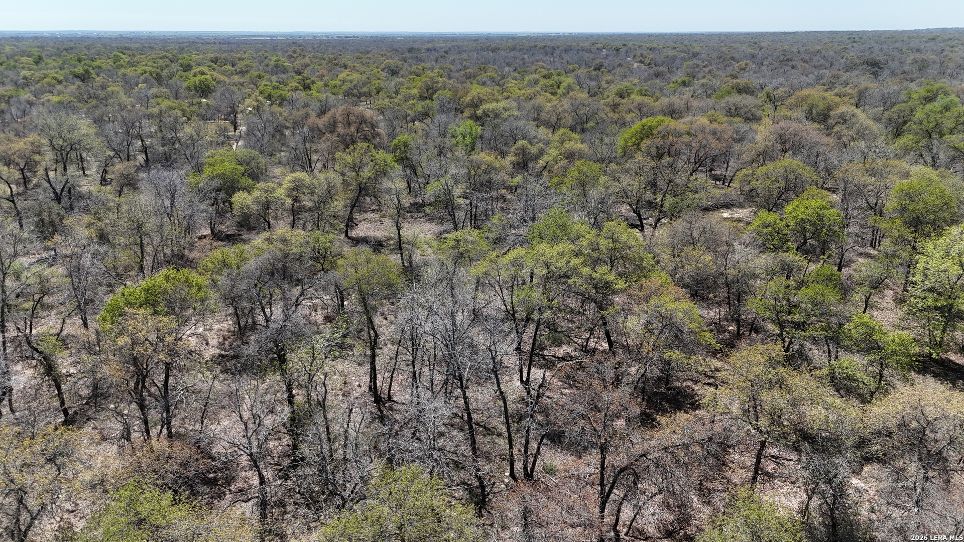 Tbd Trumbo Road Pleasanton TX 78065