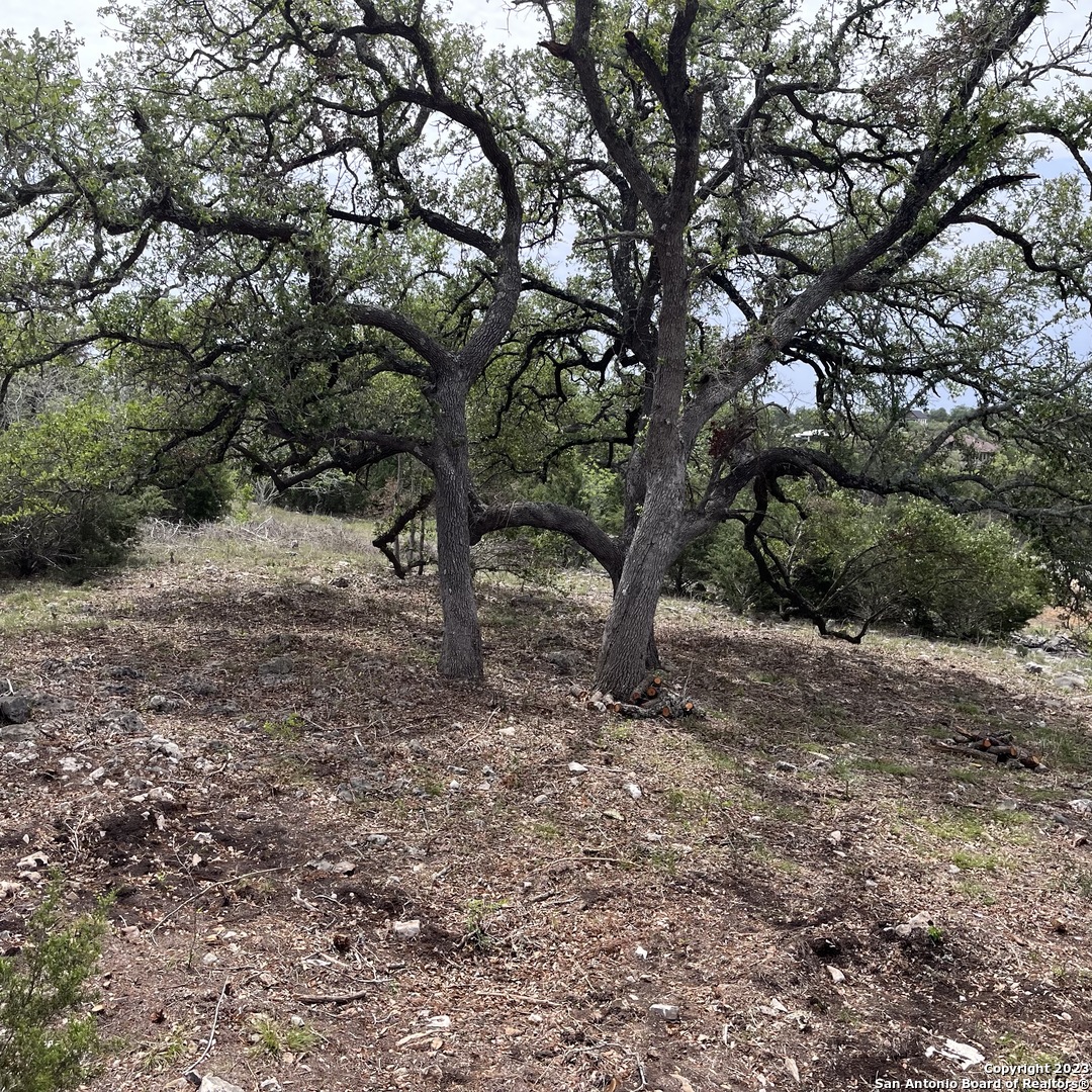 1430 Trailhead New Braunfels TX 78132