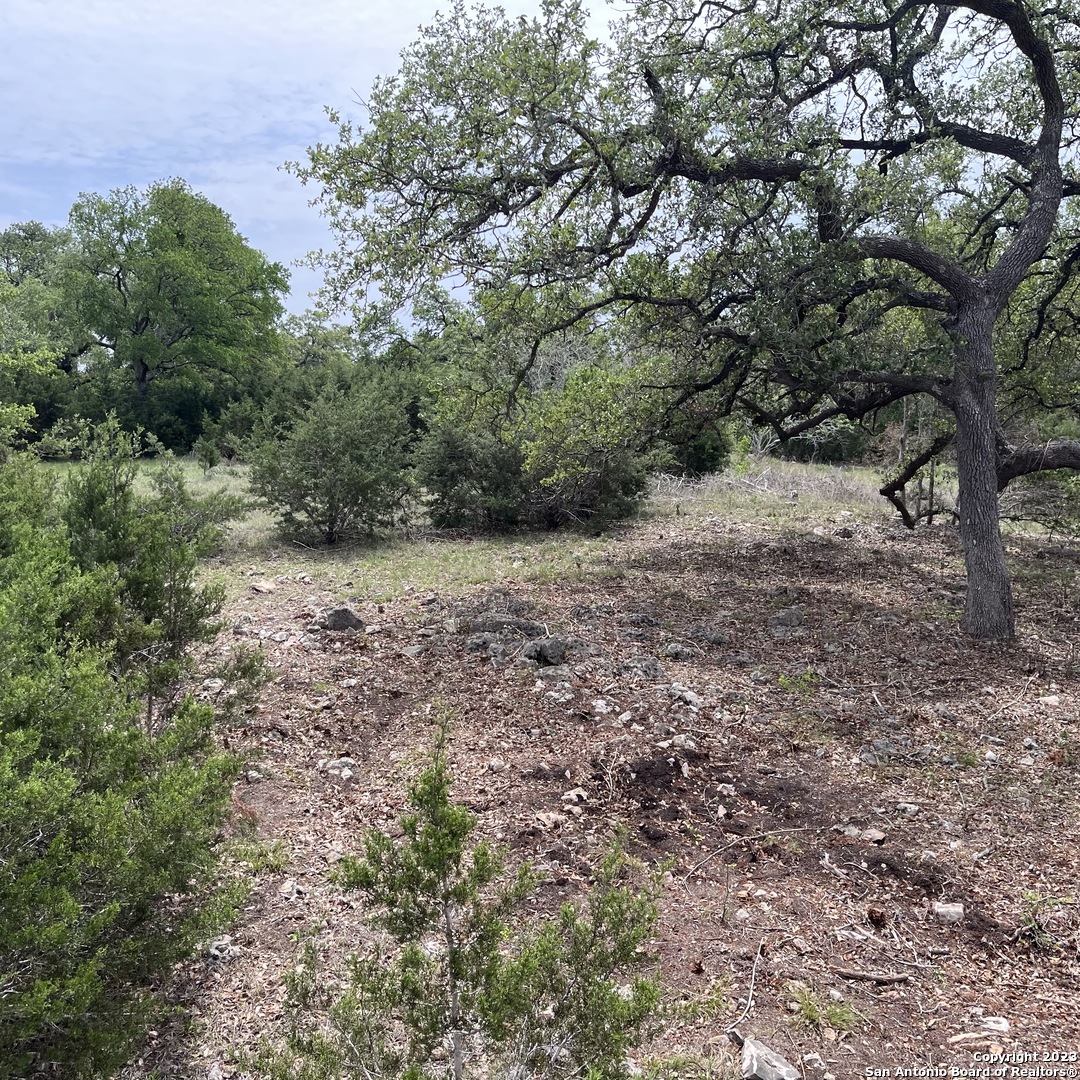1430 Trailhead New Braunfels TX 78132