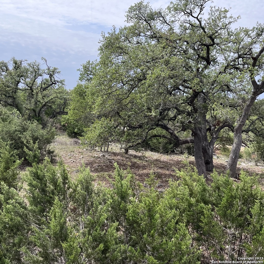 1430 Trailhead New Braunfels TX 78132