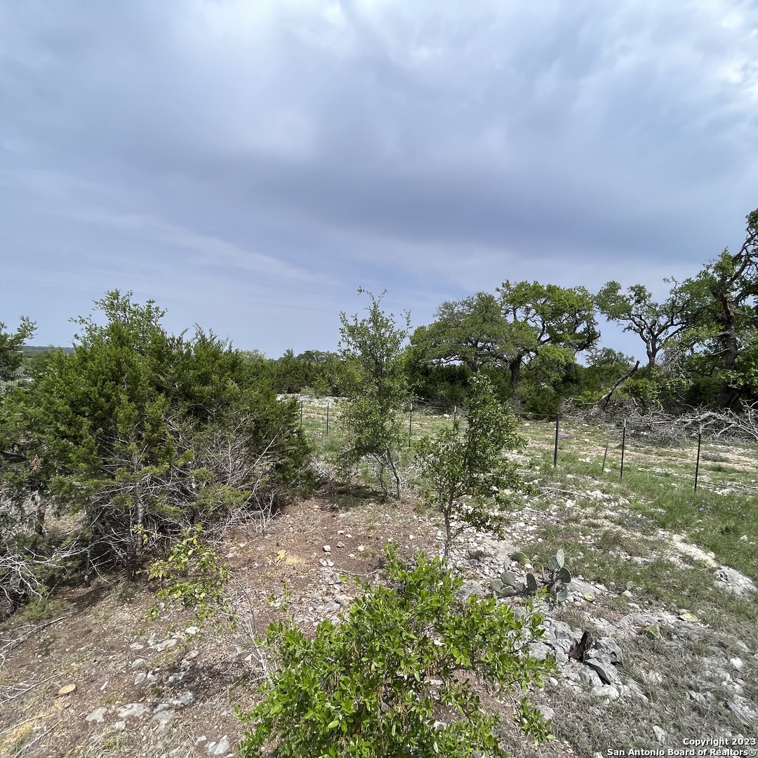 1430 Trailhead New Braunfels TX 78132
