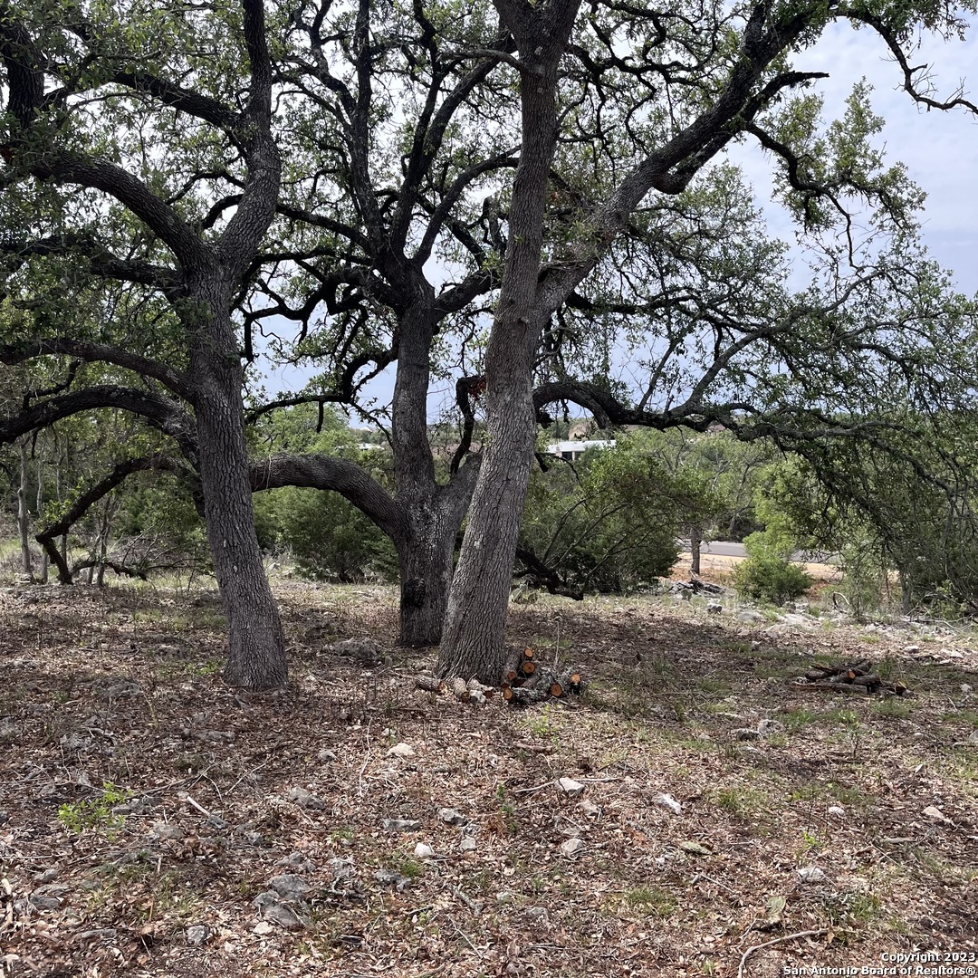 1430 Trailhead New Braunfels TX 78132