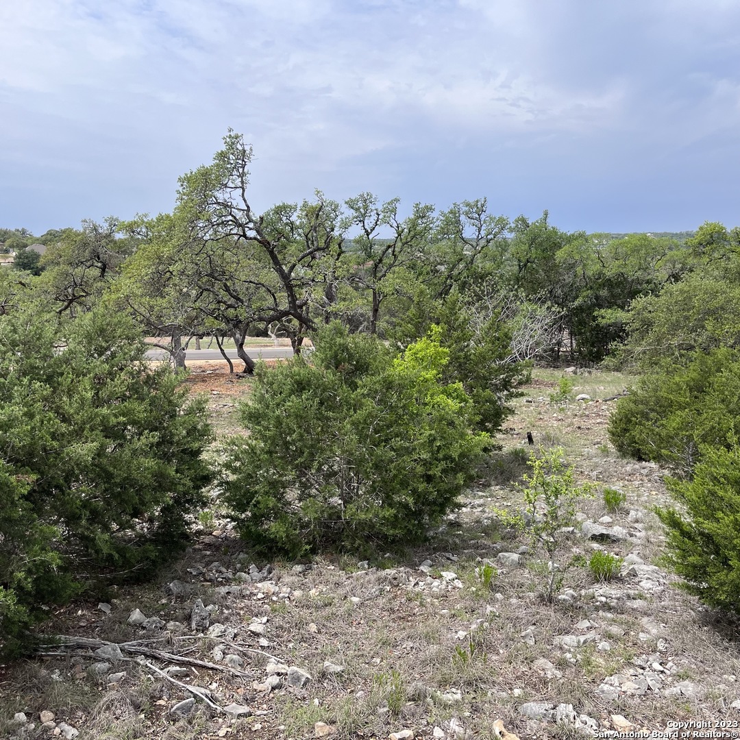 1430 Trailhead New Braunfels TX 78132